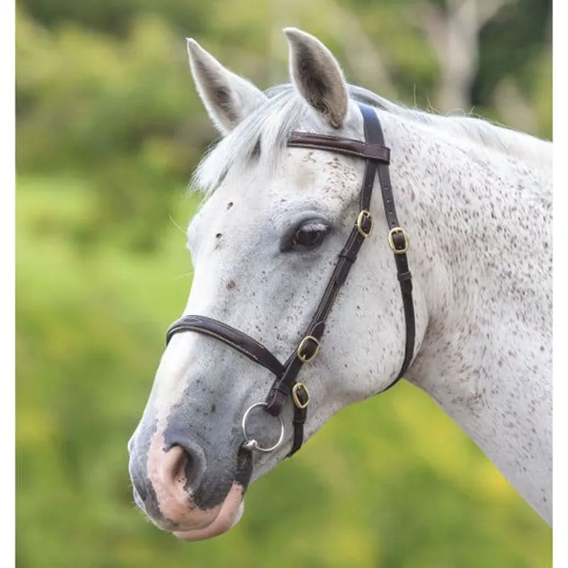 Velociti GARA Fancy Stitched Inhand Bridle in BLACK