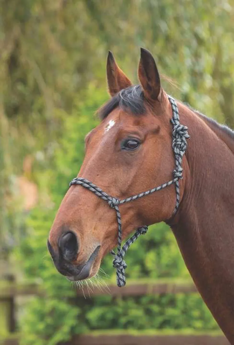 Shires Rope Control Headcollar in BLK/WHT