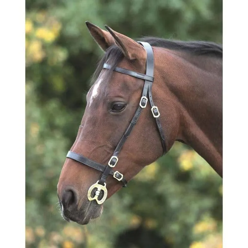 Velociti GARA Plain Inhand Bridle in BLACK