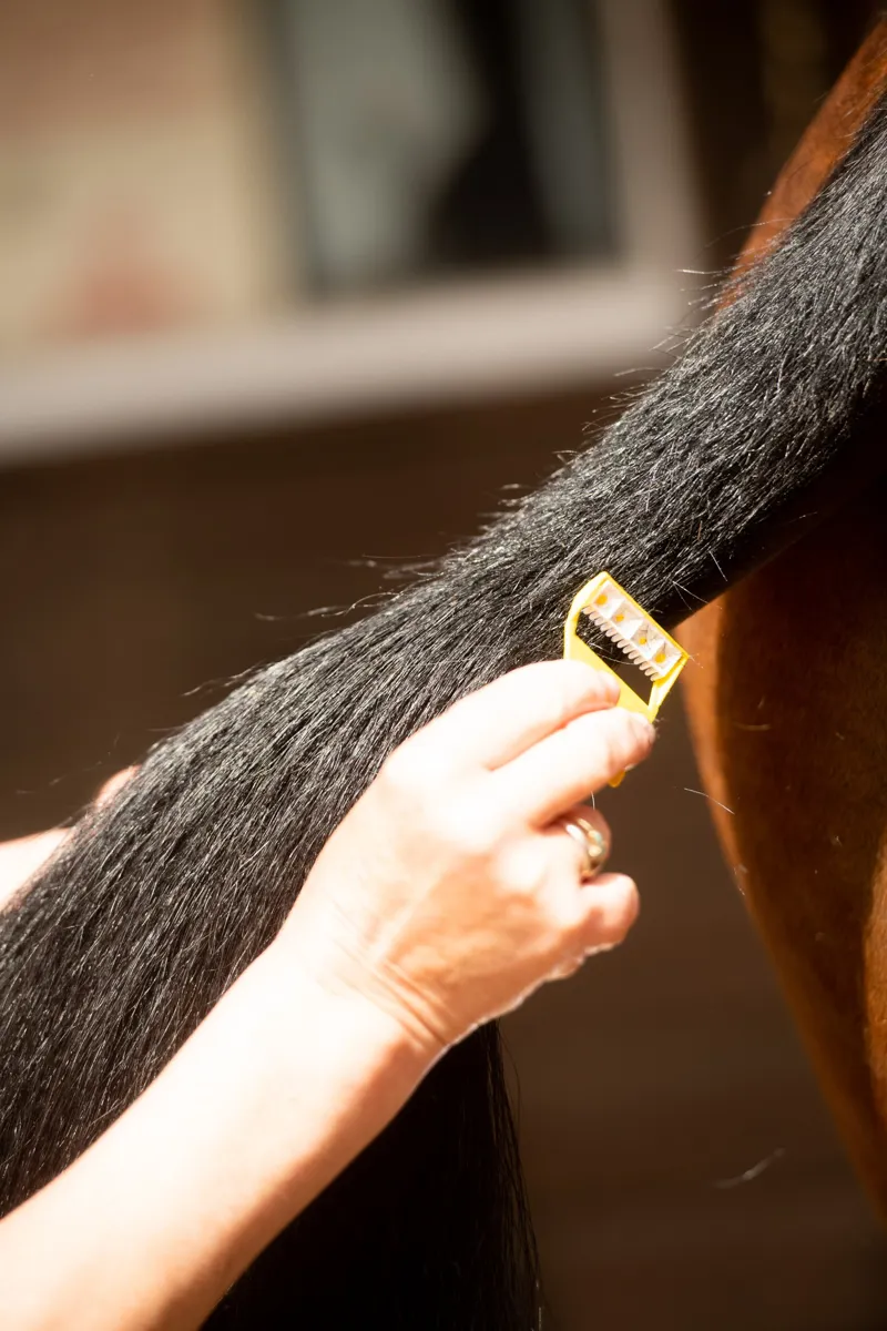 Smart Grooming Equi-Shave-1