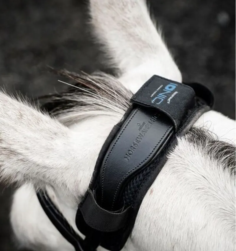 Horseware Ionic Poll Cover