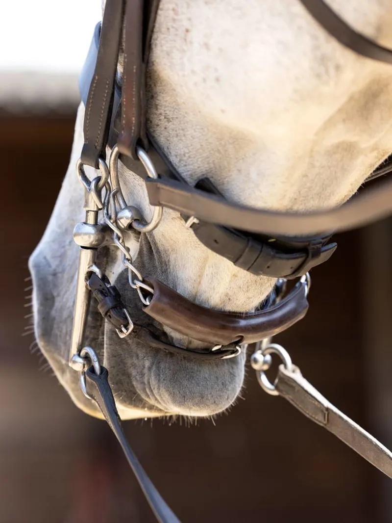 Curb Chain Guard Brown-1