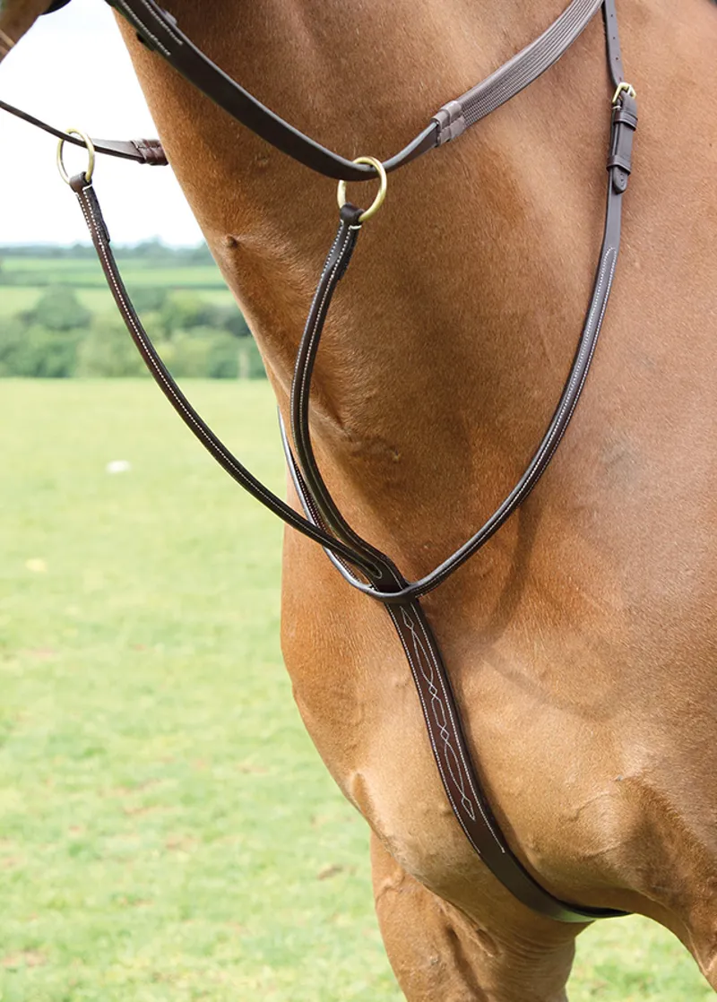 Salisbury Running Martingale In Australian Nut